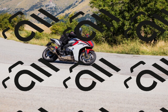 202508091107-_04A9342_c3