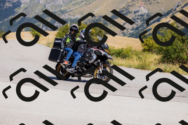 202508091108-_04A9344_c3