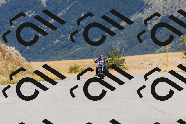 202508091113-_04A9358_c3