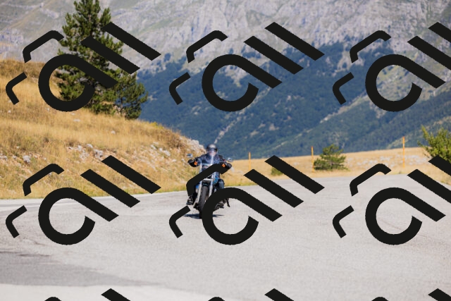 202508091113-_04A9361_c3