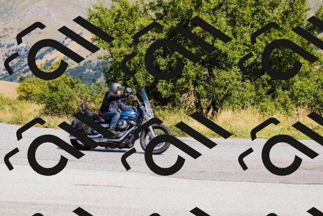 202508091113-_04A9362_c3