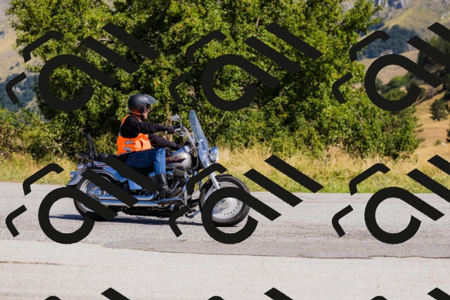 202508091113-_04A9367_c3