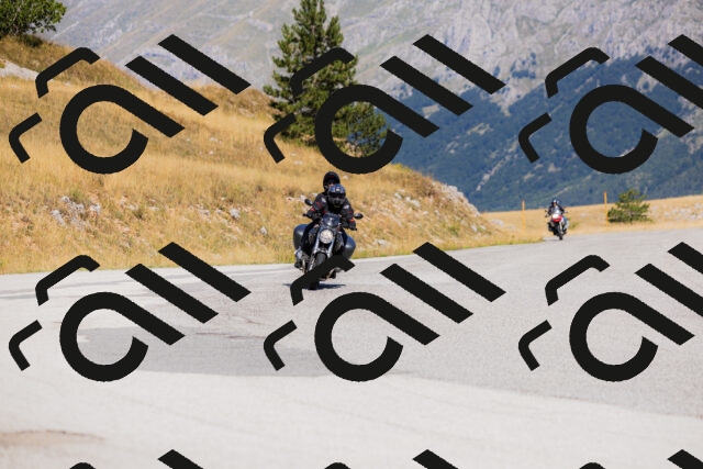 202508091113-_04A9369_c3