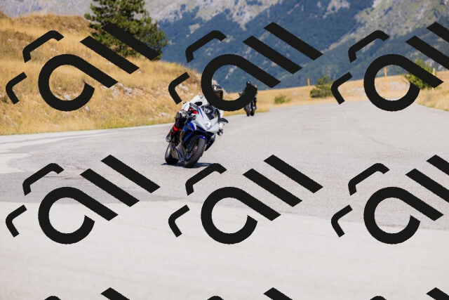 202508091116-_04A9380_c3