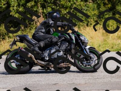 202508091116-_04A9387_c3