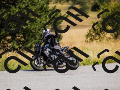 202508091139-_04A9516_c3