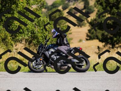 202508091139-_04A9517_c3