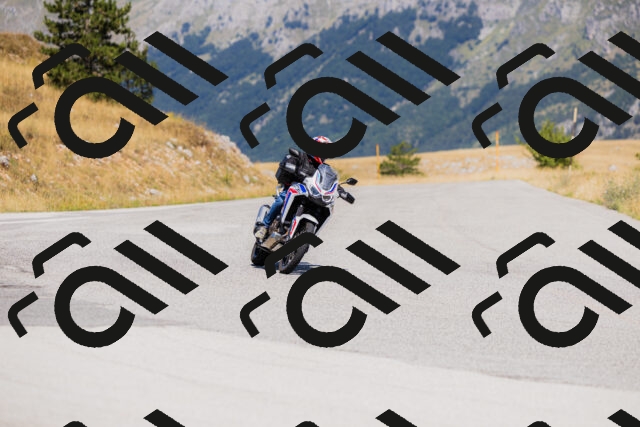 202508091200-_04A9725_c3