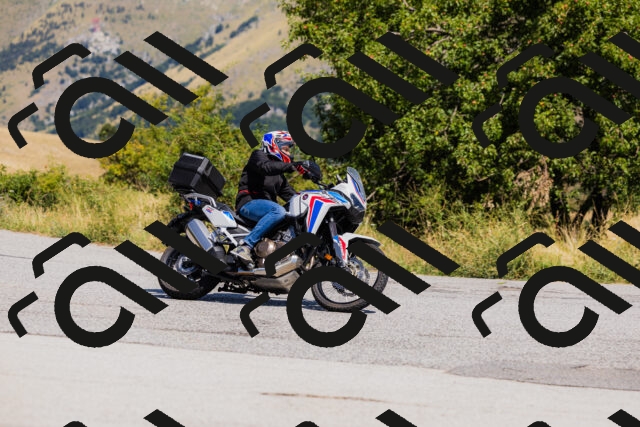 202508091200-_04A9727_c3