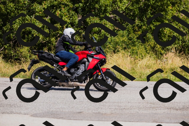 202508091203-_04A9748_c3