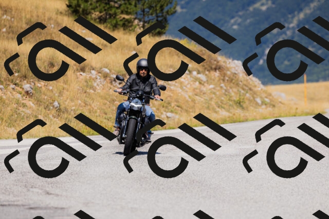 202508091204-_04A9751_c3