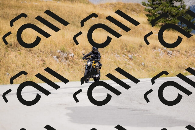 202508091205-_04A9763_c3