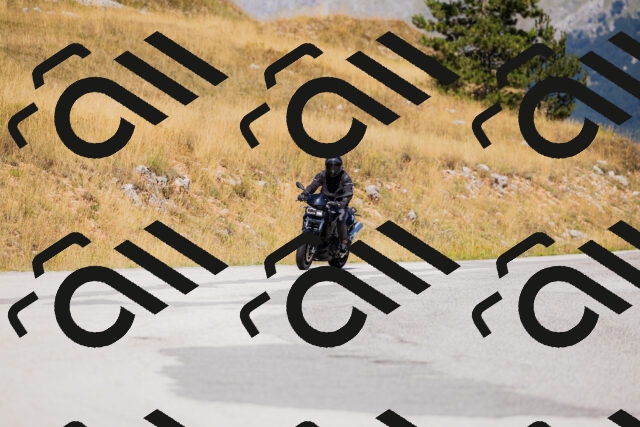 202508091206-_04A9768_c3