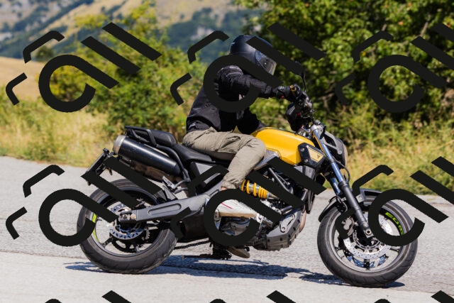 202508091206-_04A9772_c3