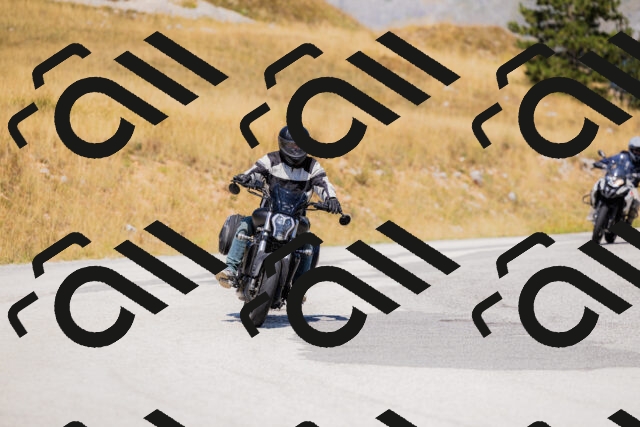 202508091207-_04A9778_c3