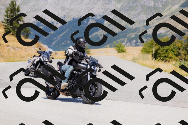 202508091207-_04A9779_c3