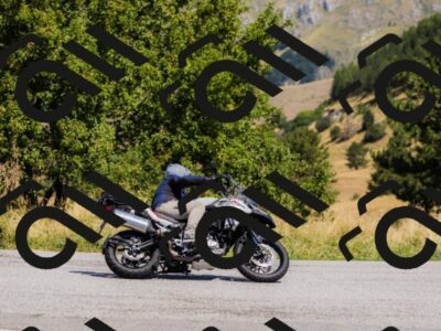 202508091207-_04A9782_c3