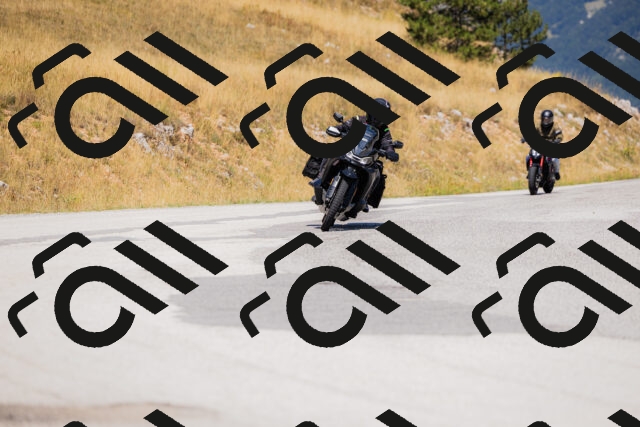 202508091207-_04A9783_c3