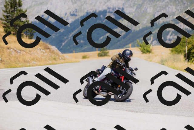 202508091207-_04A9786_c3