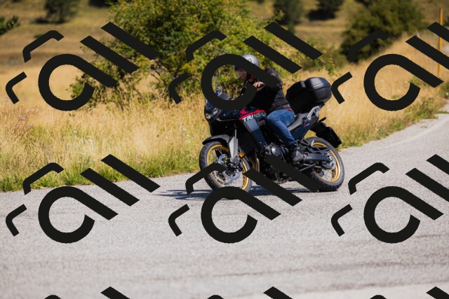 202508091210-_04A9793_c3