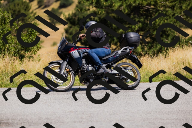 202508091211-_04A9795_c3