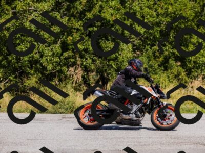 202508091215-_04A9852_c3