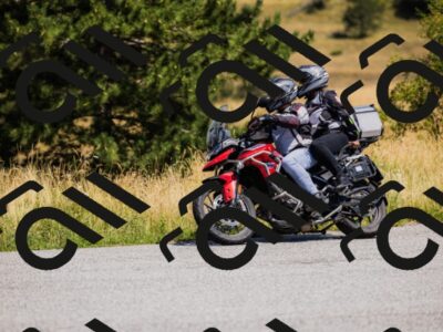 202508091215-_04A9875_c3