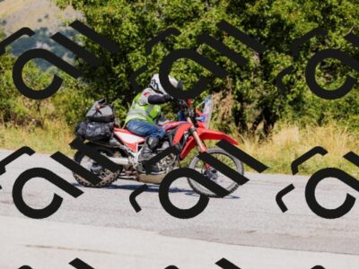 202508091258-_04A0205_c3