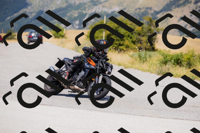 202508091301-_04A0215_c3