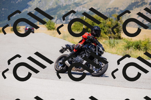 202508091301-_04A0217_c3