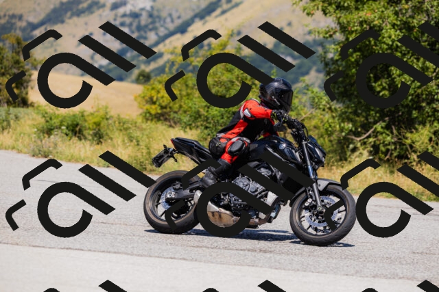 202508091301-_04A0218_c3