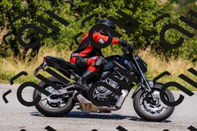 202508091301-_04A0219_c3