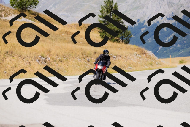 202508091301-_04A0224_c3