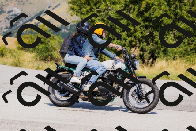 202508091302-_04A0231_c3