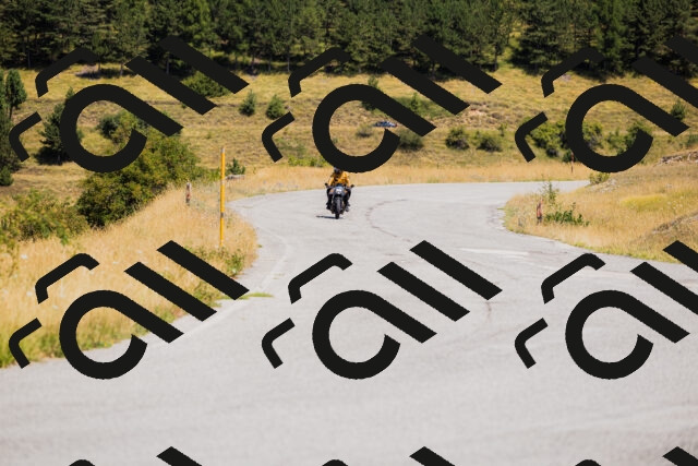 202508091302-_04A0233_c3