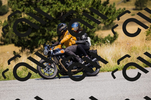 202508091302-_04A0237_c3