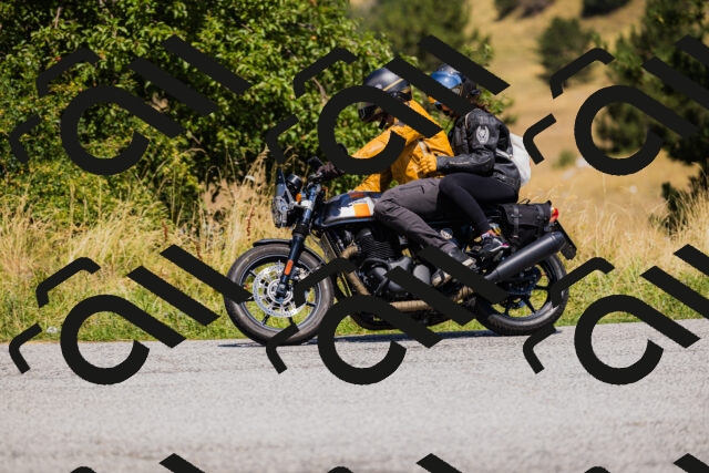 202508091302-_04A0238_c3