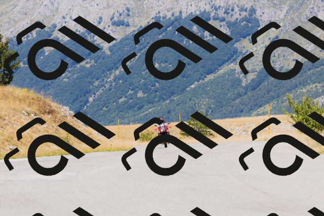 202508091304-_04A0239_c3