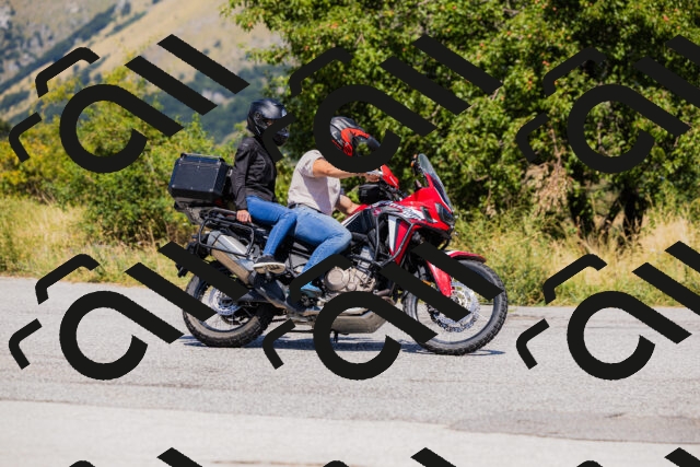 202508091304-_04A0241_c3