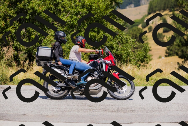 202508091304-_04A0242_c3