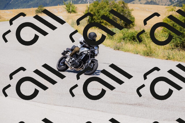 202508091305-_04A0244_c3