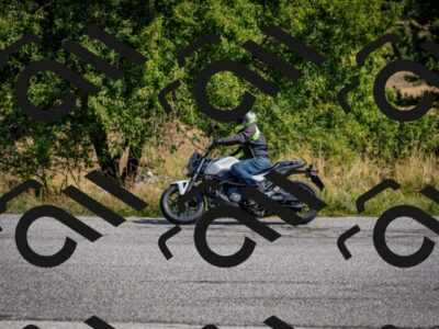 202508101036-DSC_4562_c2