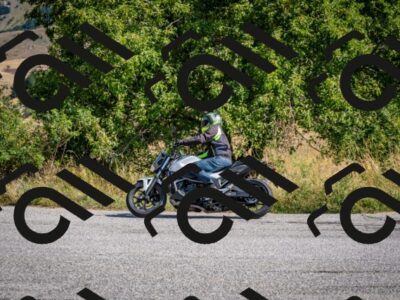 202508101036-DSC_4563_c2