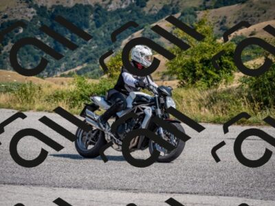 202508101040-DSC_4565_c2