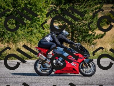 202508101055-DSC_4654_c2