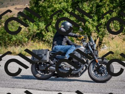 202508101057-DSC_4666_c2