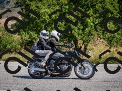 202508101113-DSC_4750_c2