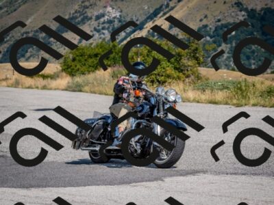 202508101116-DSC_4778_c2