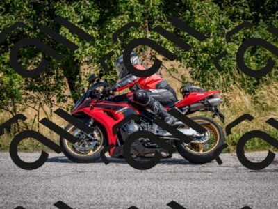 202508101124-DSC_4850_c2