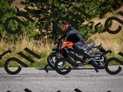 202508101127-DSC_4861_c2